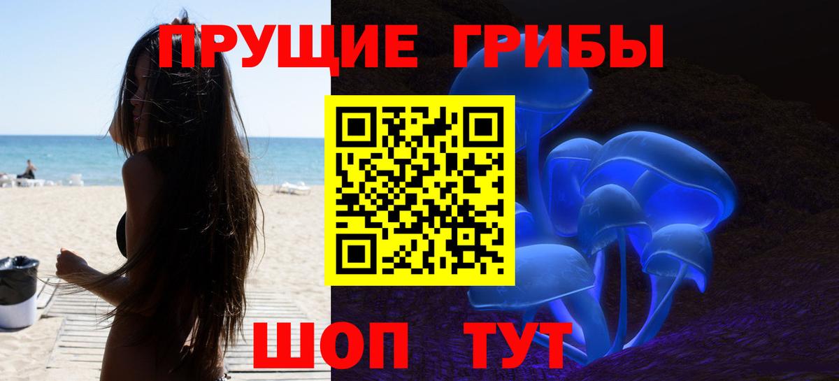 Алексин  Галлюциногенные грибы ЛСД  Псилоцибиновые грибы MAGIC MUSHROOMS  купить наркоту  Вход с VPN 